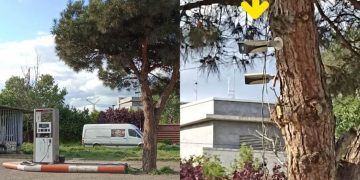 გლდანი – ხეზე მიმაგრებული კამერები – „ჩემი ქალაქი მკლავს“