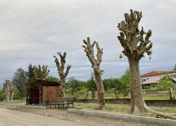 “მევიჯაყეთ გურულები” – ვახუშტი მენაბდე