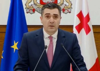 „ეს გადაწყვეტილება ნებისმიერი პასუხისმგებლიანი ხელისუფლებისთვის არის მისასალმებელი“ – ილია დარჩიაშვილი