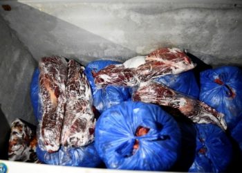 დაავადებული ცხენის ხორცის დამზადება-რეალიზაციისა და მომხმარებლის მოტყუების ფაქტებზე, საგამოძიებო სამსახურმა სამი პირი პასუხისგებაში მისცა