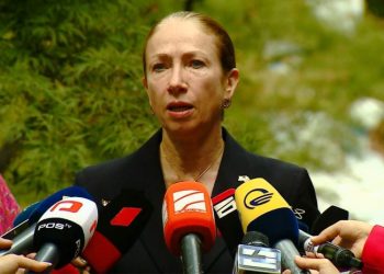 “ოცნება” ნებისმიერ სხვა პოლიტიკურ პარტიაზე მეტ მხარდაჭერას იღებს IRI-სგან” – დეგნანი