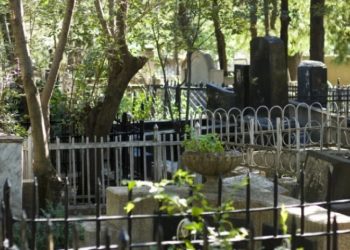 როგორ იპარავენ ყვავილებს საფლავებიდან (ვიდეო)