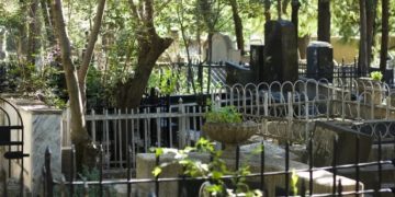 როგორ იპარავენ ყვავილებს საფლავებიდან (ვიდეო)