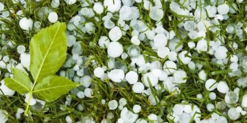 კასპის სოფლები დაისეტყვა