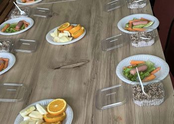 “აი, აგერ! სადაც სახელმწიფოს არ შეუძლია აკეთებენ სკოლები და მოქალაქეები” – ანა წითლიძე