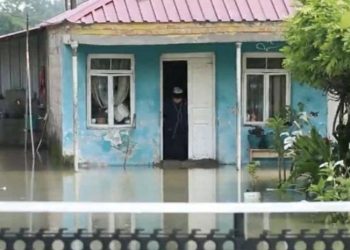 ადიდებულმა რიონმა აბაშაში საკარმიდამო ნაკვეთები და საცხოვრებელი სახლები დაიტბორა