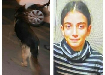 “დღის გმირი” – რა ფოტო ვრცელდება სოციალურ ქსელში