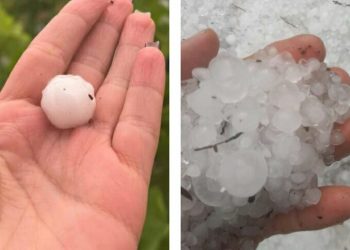 “ხალხი შემოსავლია გარეშე დარჩა, ქონება ნადგურდება” – რა ხდება კახეთში?