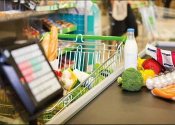 მაისში საარსებო მინიმუმი 1.9 ლარით გაიზარდა