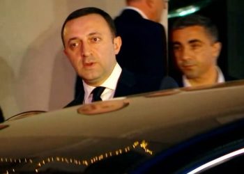 “ვახშამი იყო” – ღარიბაშვილი ელჩებთან შეხვედრის შემდეგ