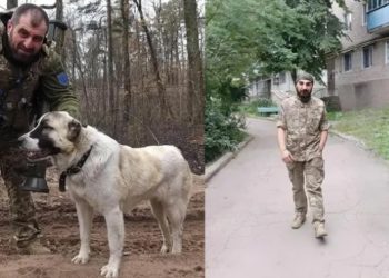 უკრაინაში კიდევ ორი ქართველი მებრძოლი დაიღუპა