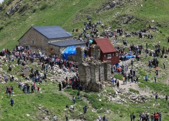 დღეს ლომისობაა