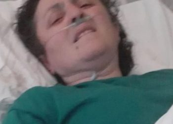 „ძიძად მუშაობდა, მასთან ერთად 3 წლის ქართველი ბავშვიც იმყოფებოდა, გზაზე გადადიოდნენ და მოტოციკლეტი დაეჯახათ“ – რას წერს შოთო სიხარულიძე?