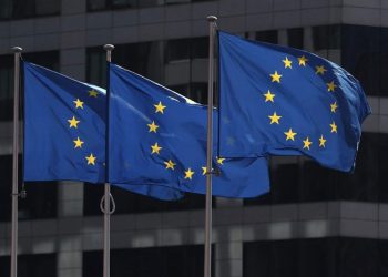 “მოსკოვი საქართველოს თანხმობის გარეშე ფრენებს ვერ აღადგენდა” – მწვავე განხილვა ევროპარლამენტში