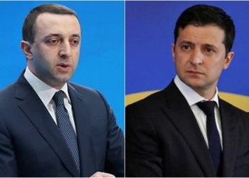ესაა ჩემი კომენტარი – ღარიბაშვილი ზელენსკის განცხადებაზე