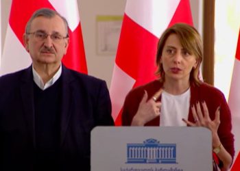 “ევროოპტიმისტები” – ახალი პოლიტიკური ჯგუფი პარლამენტში
