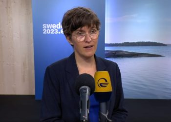 საქართველოს მთავრობა მოლოდინებს არ ამართლებს – ლურმანი