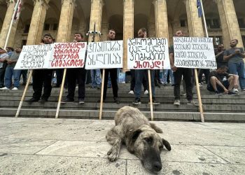 “მეგრელიშვილი, რაქვიაშვილი და კიდე მესამე მოშიმშილე, პირამოკერილ ხალხს ეუბნებიან. მე რომ დამსაქმებელი ვიყო გაგიშვებდითო” – არჩიბალდ მეკეში