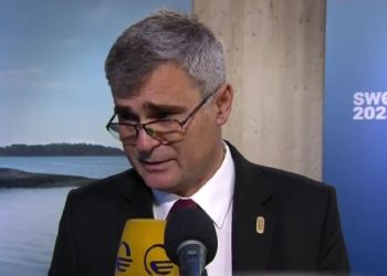 “12-დან 3 არის შესრულებული” – მისლიკი საქართველოზე