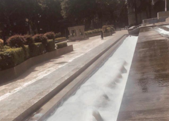 აქტივისტებმა პარლამენტის წინ შადრევანში სარეცხი საშუალება ჩაასხეს