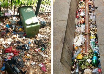 “გამკაცრდეს ჯარიმები გარემოს დაბინძურებაზე, ზარალდება წესიერი ხალხი” – ჩერქეზიშვილი