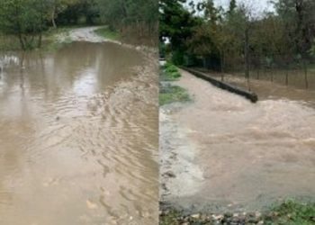 წალენჯიხაში 12 ოჯახი გარე სამყაროს მოწყდა – კადრები სტიქიის ზონიდან