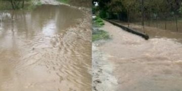 წალენჯიხაში 12 ოჯახი გარე სამყაროს მოწყდა – კადრები სტიქიის ზონიდან