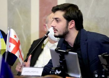 ირაკლის “ირაყლი” სწყინს და “ოცნებამ” 35 000–ად შექმნა ბოტები, რომ ელანძღა ხალხი – ცოტნე კობერიძე