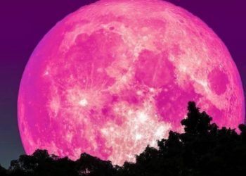 4 ივნისს ვარდისფერი სავსე მთვარეა – რა უნდა გააკეთოთ ამ დღეს, რომ სურვილები აგისრულდეთ