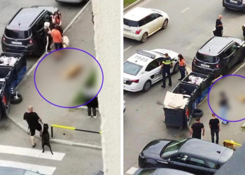 “გამვლელმა ბავშვების თვალწინ ძაღლი მოკლა…” – რა მოხდა ვაზისუბანში?