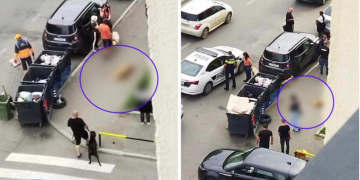 “გამვლელმა ბავშვების თვალწინ ძაღლი მოკლა…” – რა მოხდა ვაზისუბანში?