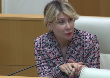 „იმაზე უარესი რა უნდა დაგემართოთ, რაც ახლა თქვენ გჭირთ“ – ნინო წილოსანი ანი წითლიძეს