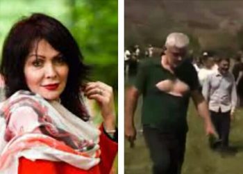 “სად იყვნენ ესენი 2008 წელს?” – ანა კოლ-შიმშილაშვილი