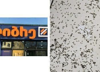 “იჯდა მოლარე მწერების ბუდეში, გამყიდველი იატაკიდან დახლზე ალაგებდა პროდუქტებს” – რა ხდება წალენჯიხის “ლიბრეში”