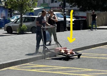 “ასე გადააქვთ ხორცი, რომელსაც ჩვენ ვყიდულობთ” – “ჩემი ქალაქი მკლავს” 