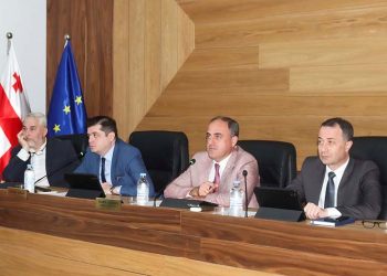 სემეკის თავმჯდომარემ დავით ნარმანიამ თანამშრომლებს კომისიის ახალი წევრი წარუდგინა