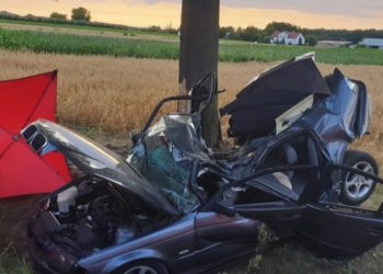 პოლონეთში ავტოსაგზაო შემთხვევის შედეგად საქართველოს მოქალაქე დაიღუპა