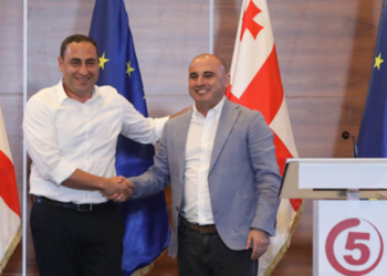 ,, ბოდიშს მოვიხდი თუ ვინმეს სჯერა, რომ ვაშაძის ინტეგრირება ენმ-ში ხაბეიშვილმა გადაწყვიტა და აქ არაფერ შუაში არ იყო არც დათო კეზერაშვილი და არც ვანო მერაბიშვილი” – მელია