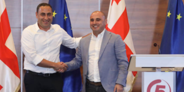 ,, ბოდიშს მოვიხდი თუ ვინმეს სჯერა, რომ ვაშაძის ინტეგრირება ენმ-ში ხაბეიშვილმა გადაწყვიტა და აქ არაფერ შუაში არ იყო არც დათო კეზერაშვილი და არც ვანო მერაბიშვილი” – მელია