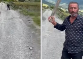 სვანეთში ძაღლს თავს დაესხნენ (ვიდეო)