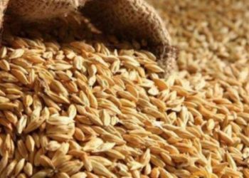 გლობალურ ბაზარზე ხორბლის ფასი მკვეთრად გაიზარდა – BBC