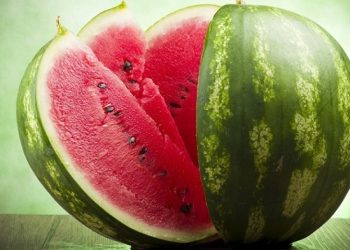 რას ამტკიცებს ირანული და თურქული საზამთროს შემომტანი და რა ექსპერიმენტს სთავაზობს „ალიას“?