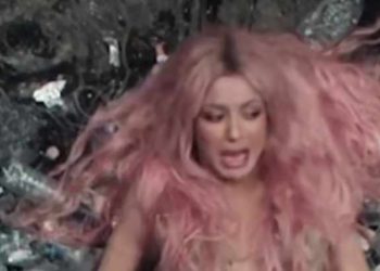 (ვიდეო) – გადაღებისას შაკირა ვირთხამ შეაშინა – “აი, ასეთი რაღაცები ემართებათ ქალთევზებს”