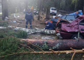 ვოლგის რეგიონში ქარიშხლის შედეგად 10 ადამიანი დაიღუპა