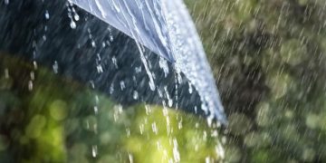 წვიმა, ელჭექი, ქარი – 28 ივლისის ამინდის პროგნოზი