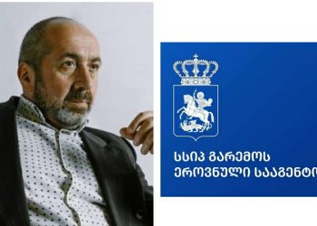 “ნახეთ, როგორი ტუტუცები ხართ…” – მირცხულავა გარემოს ეროვნულ სააგენტოზ