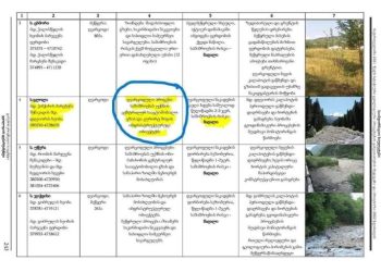 “აგერ ანგარიშში წერია, რომ შოვში ღვარცოფის საშიშროება წელიწადში 2-3-ჯერ შეიძლება იყოს და იქვე მითითებულია რჩევებიც” – გოგა ჩანადირი