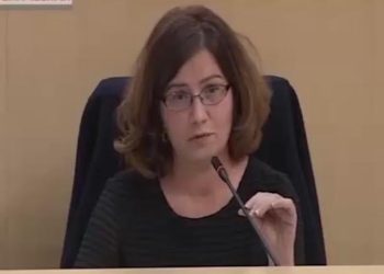 ,,რუსეთივით კობახიძეც ორი ყოფიილა ცუდი კობახიძე და კარგი კობახიძე” – ირმა ნადირაშვილი