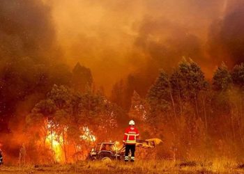 პორტუგალიაში ტყის ხანძარს ებრძვიან