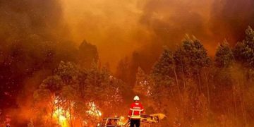 პორტუგალიაში ტყის ხანძარს ებრძვიან